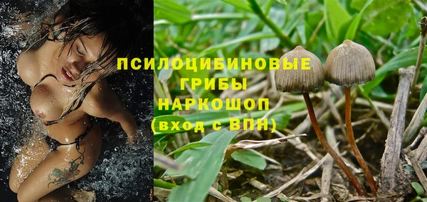 крисы Белокуриха