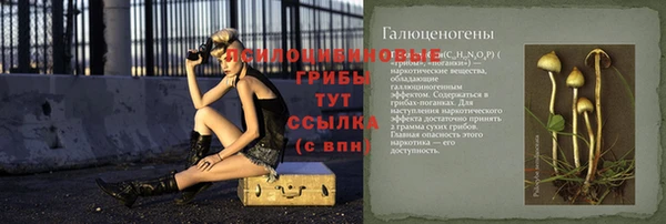 мет Балахна