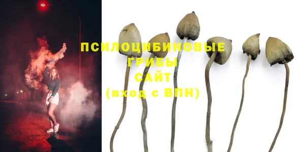 мет Балахна