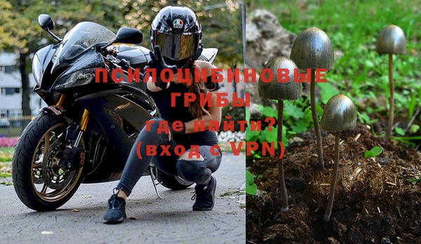 мет Балахна