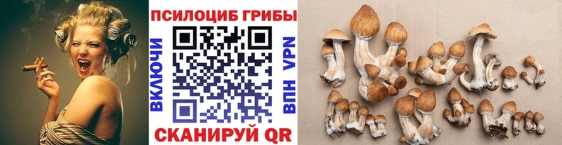 ОМГ ОМГ ТОР  Ясногорск  Галлюциногенные грибы Psilocybe 